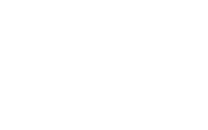 logo sorghum foods